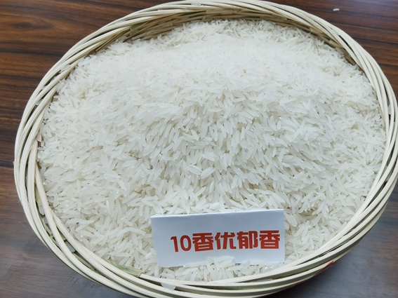 10香優(yōu)郁香